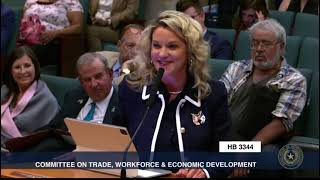 Should Texas Require A Roofing License? | House Bill 3344 Committee Hearing (Full Video)