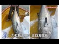 中環IT男搏鬥兩粒鐘　釣120斤大鮫魚