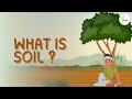 The Hidden World of Soil Ecosystems and Their Role in Plant Life