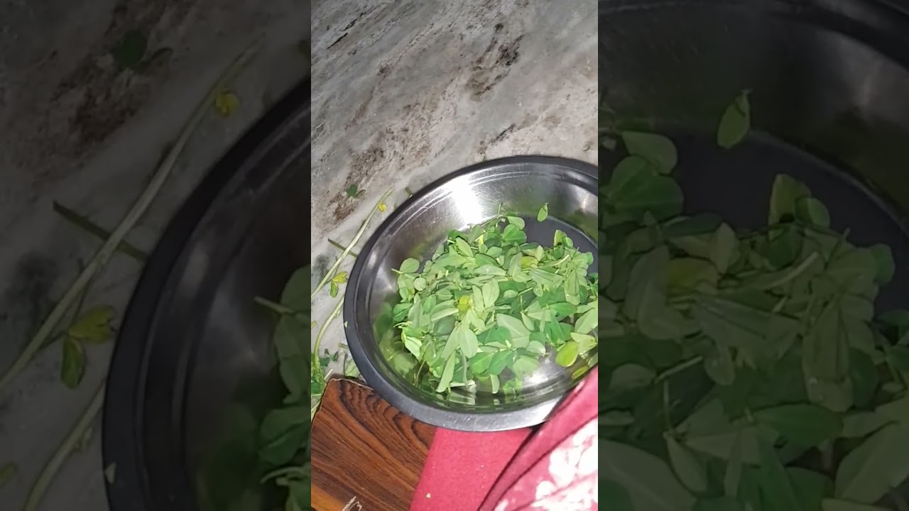 Handicap Kudi Ki legs 🥹 