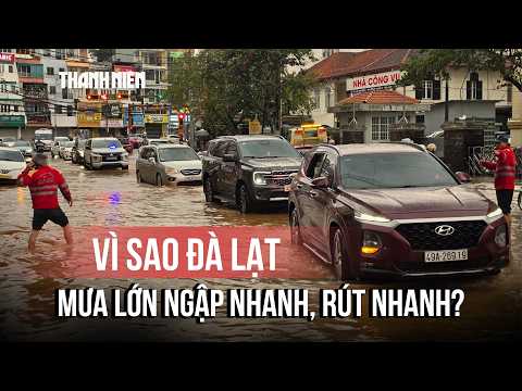 Flash Flooding in Da Lat: How Concrete and Greenhouses Are Making It Worse