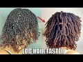 DO THIS TO MAKE HAIR LOC FASTER !