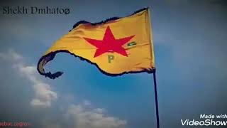 Çekdar Kobanê