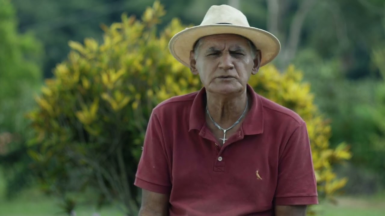 Casa das Memórias de Brumadinho - Festival da Mexerica