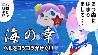 海の幸でいっぱいかせぎたい深夜27時じゃない！？のサムネイル