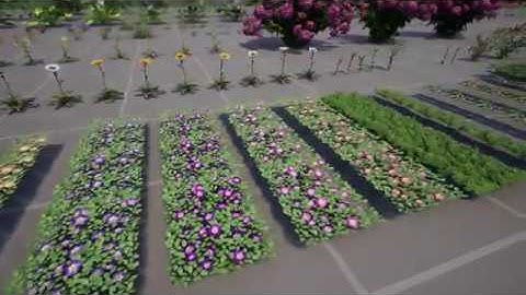 Flowers and Plants Nature Pack