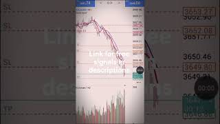 free FX signals high quality AI-driven signals a https://t.me/bestfreegoldsignals