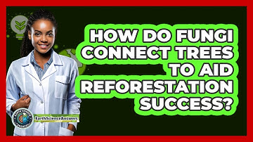 How Do Fungi Connect Trees To Aid Reforestation Success? - Earth Science Answers