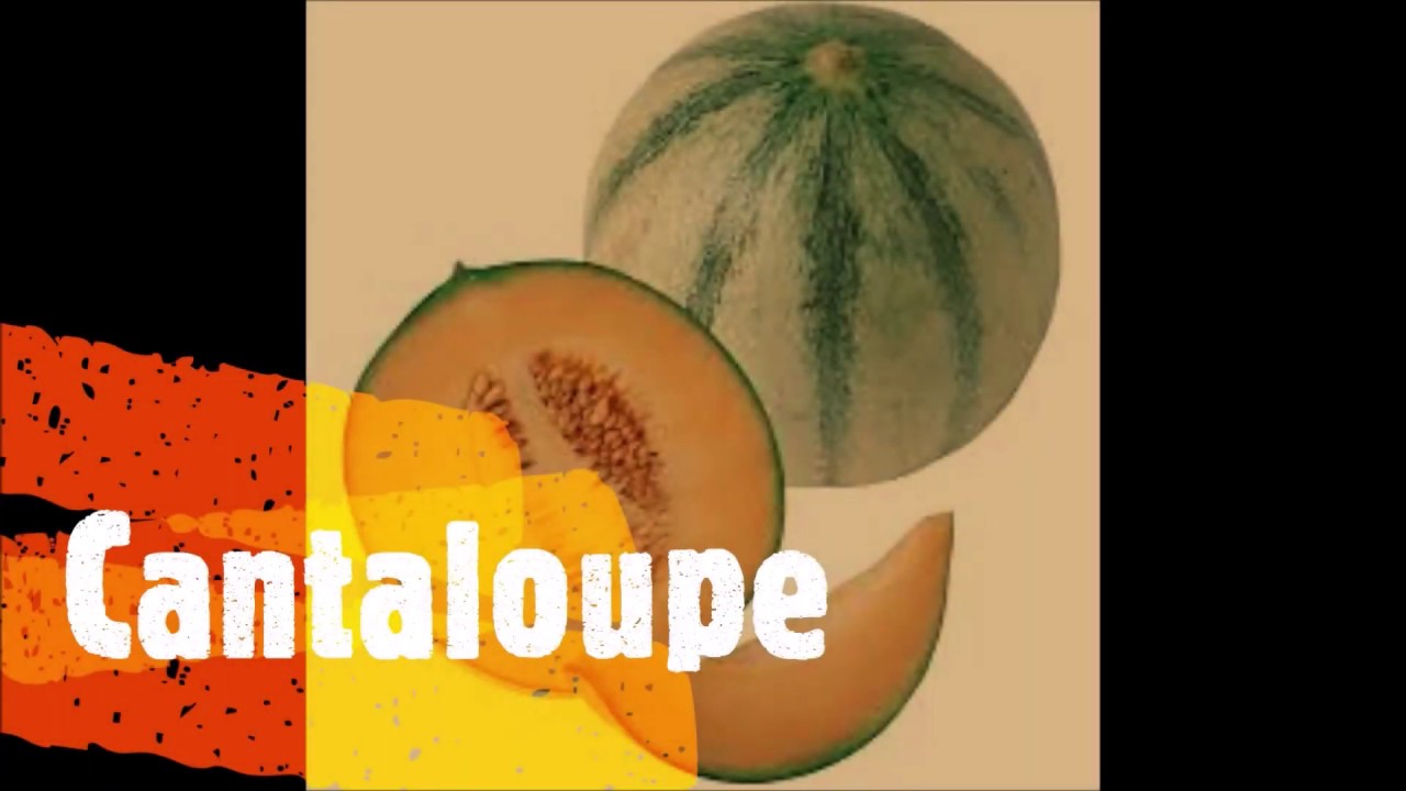 Cantaloupe YouTube