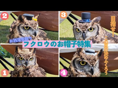 ふくろう の夏のお帽子コレクション Owl SAMAR summer hat