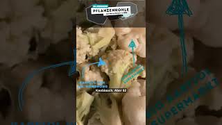 Nährstoffauswertung Karfiol