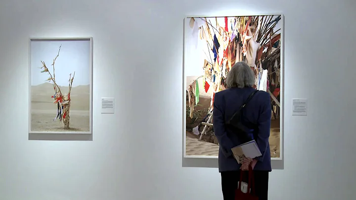 Living Shrines: The photography of Lisa Ross, Brun...