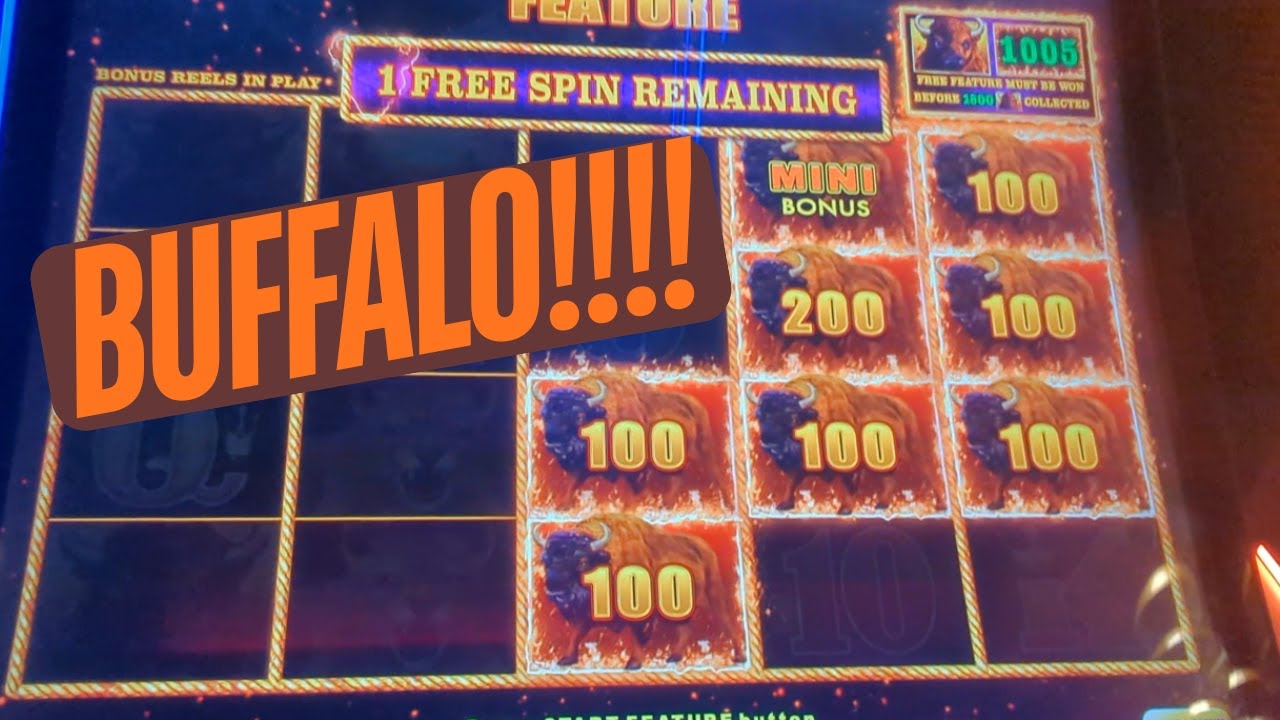 Lightning Buffalo Link Wins!