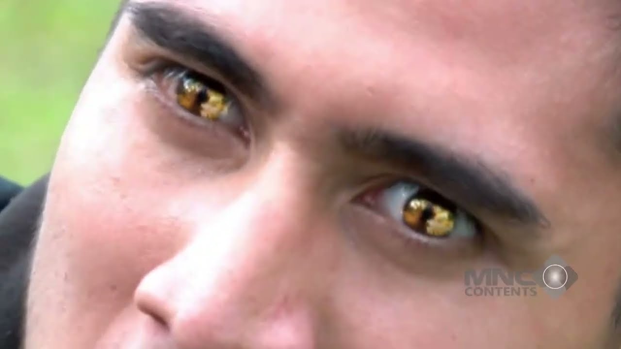 LEPAS DARI KANDANG, VERREL MENGAUM MURKA! - 7 MANUSIA HARIMAU