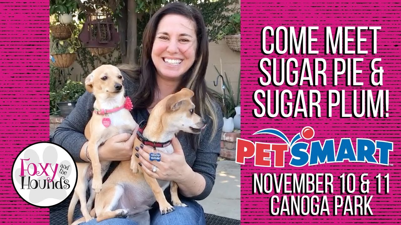 It's Petsmarts National Adoption Weekend! YouTube