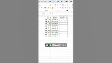 Excelの便利ハック　電話番号編　 #excel #仕事効率化 #エクセル #exceltips#ずんだもん