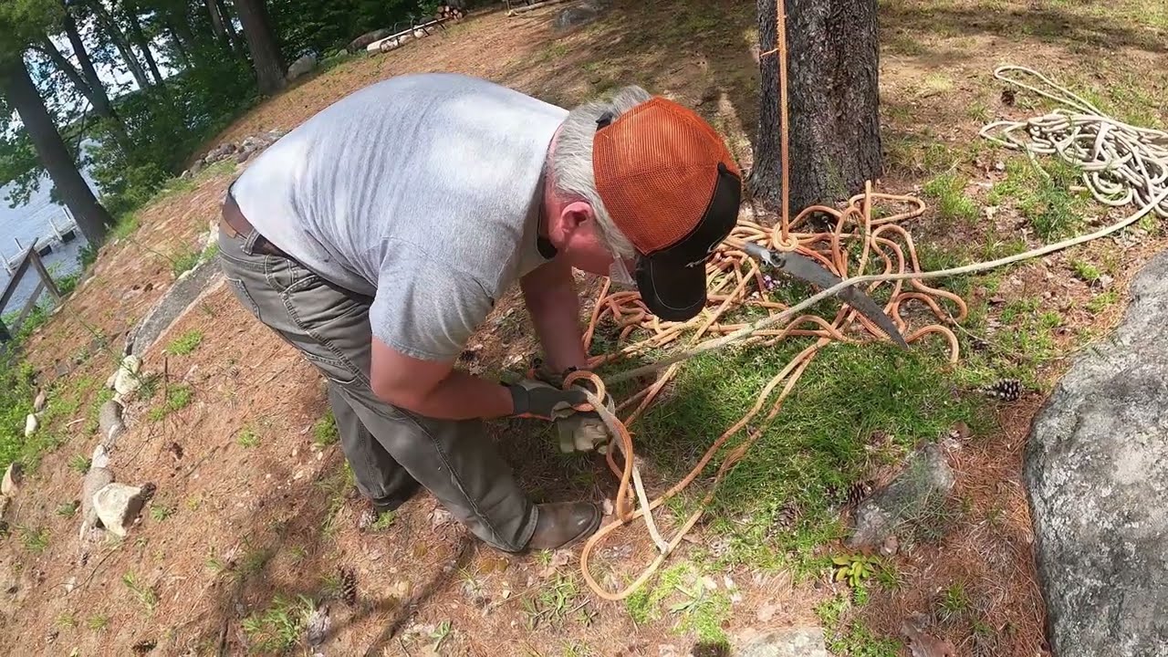 the old man climbing and topping a tree