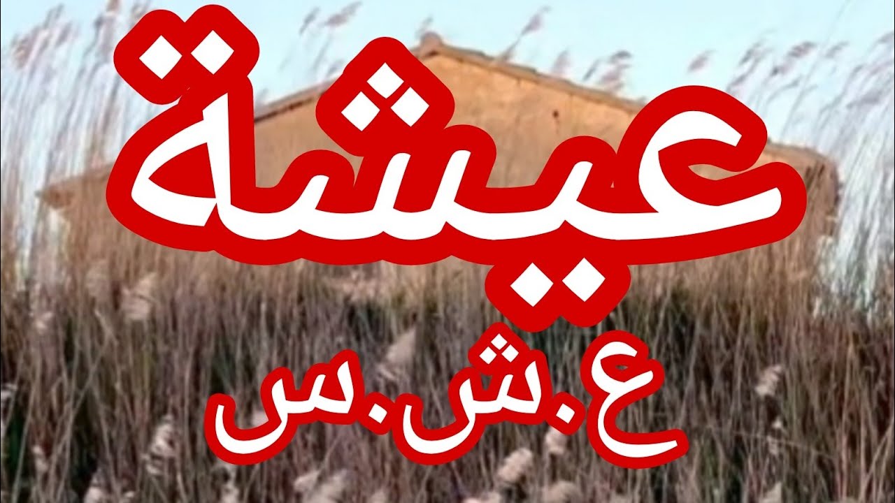 حكاية عيشة..