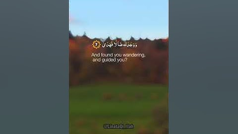 #سورة_الضحى القارئ الشيخ #هشام_الهراز ♥️🇵🇸