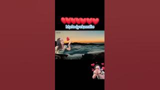 Only the night remembers us