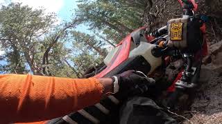 Over the bars crash 2025 ktm 300 xc-w