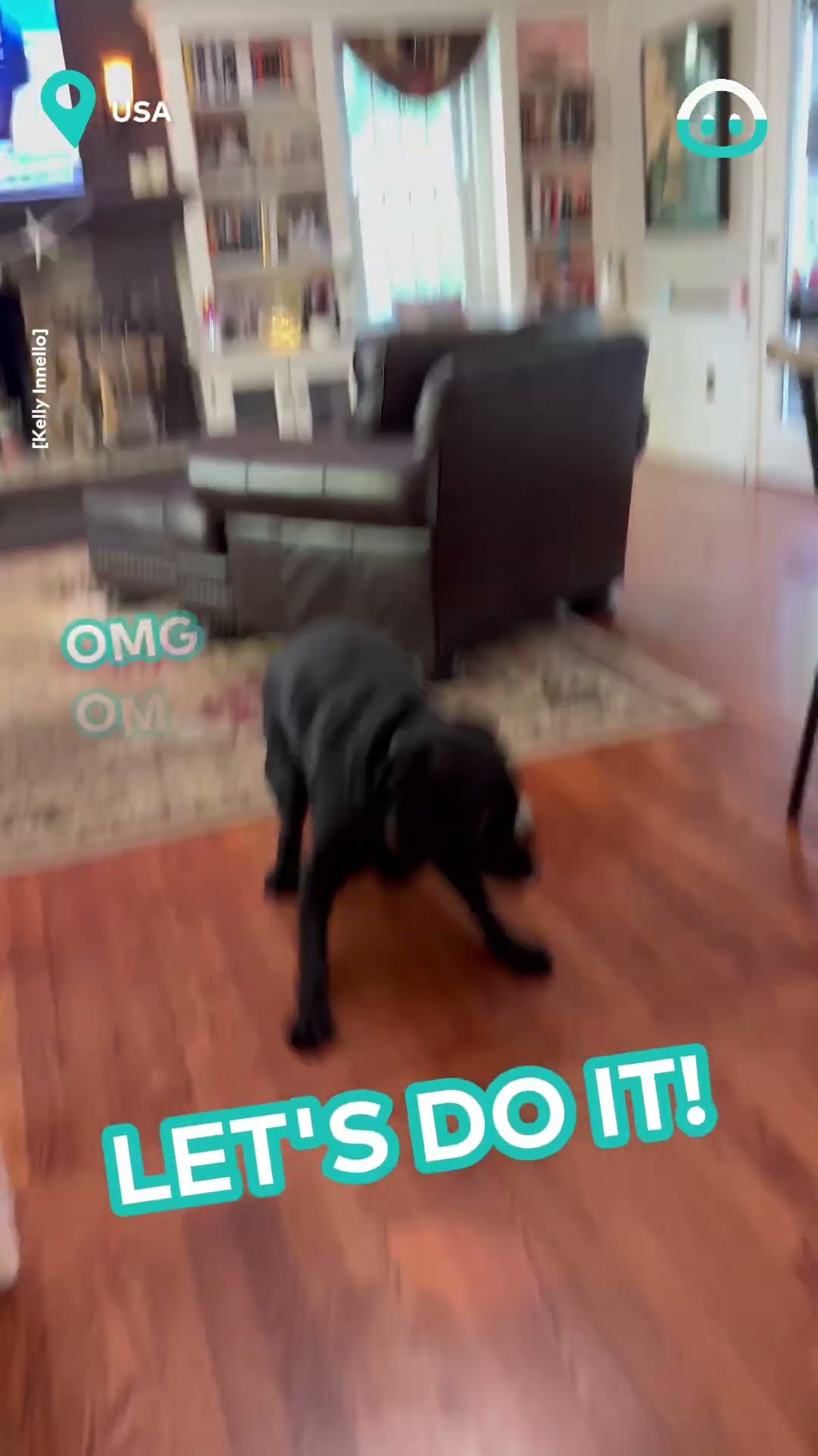 Black Lab Gets Zoomies || ViralHog