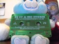 DJ Sy & MC Storm - Live @ Soundstorm 1999 (Cleveland, Ohio, USA)
