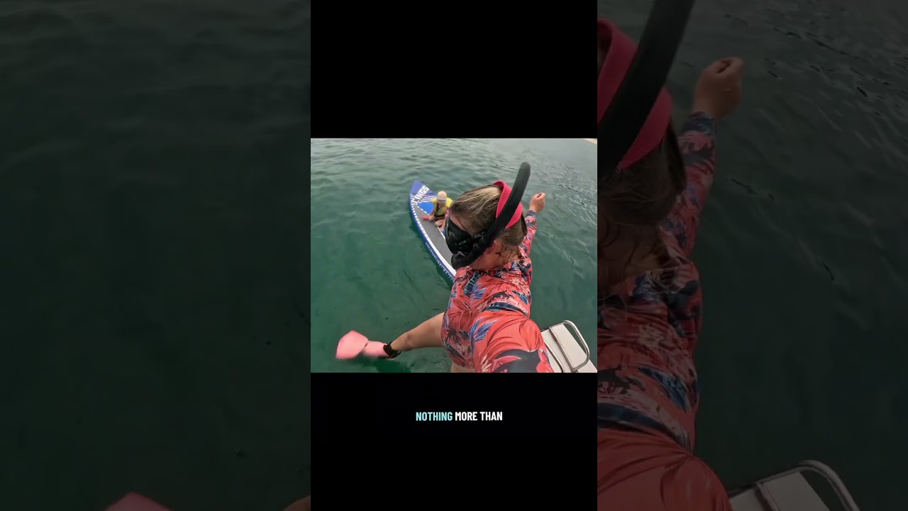 ⁣White Antifoul: The results 🤍 #antifoul #sailinglife #boatjobs #sailinglife #Antifouling