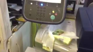 Flyers  Printing