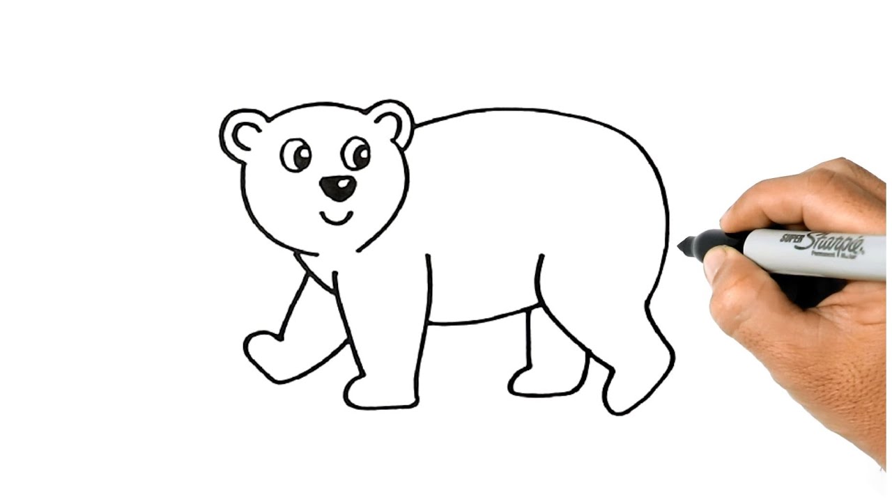 Como desenhar um urso polar fácil passo a passo - YouTube