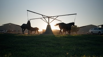 Implant | Scan | UNLOCK - Lip Chip knows how you ride!