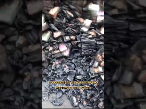 Правдивая история | Халявные деньги #shorts #деньги #мотивация #халява #историяизжизни