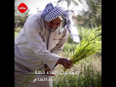 الزراعة في العراق ممنوعة