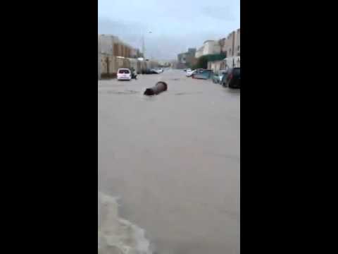 حي الفلاح والمتر 4000 ريال