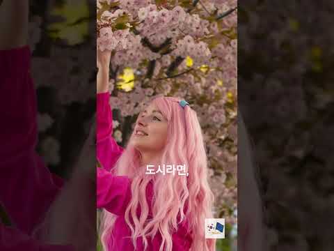 제목 없음봄의 낭만을 찾아 떠나는 오사카 & 교토