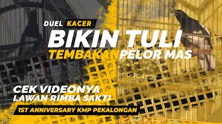 BIKIN TULI 🔥🔥🔥Tembakan Suara Kacer PELOR MAS VS Rimba Sakti Di 1St Anniversary KMP Pekalongan