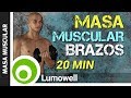 Aumentar Masa Muscular en los Brazos