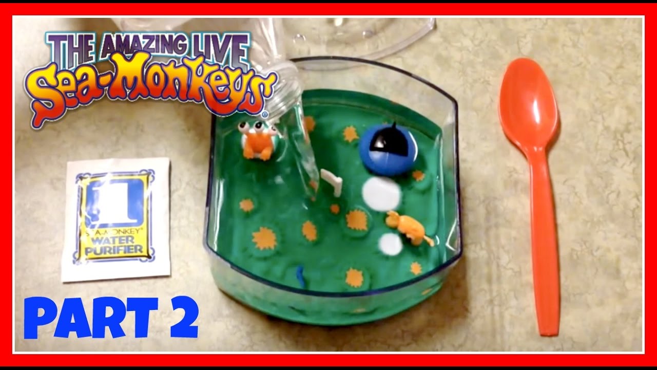 sea of thieves Sea Monkeys: Part 2