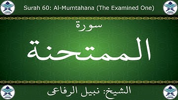القرآن الكريم بصوت نبيل الرفاعي - سورة الممتحنة