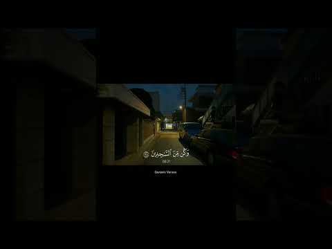 و ل ق د ن ع ل م أ ن ك ي ض يق ص د ر ك ب م ا ي ق ول ون القارئ محمود جمال