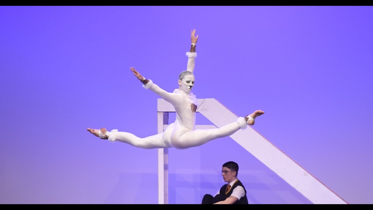 ‘HARRY POTTER’ Jelli Studios DANCE WORLD CUP 2019