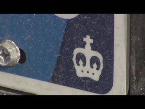 Blue License Plate Meaning