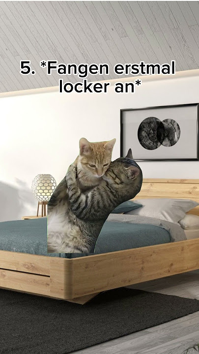 POV: Rambazamba im Bett