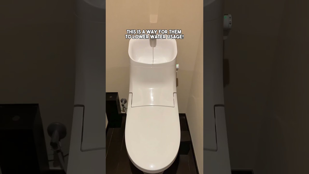 Japanese Toilet and Water Usage Efficiency!