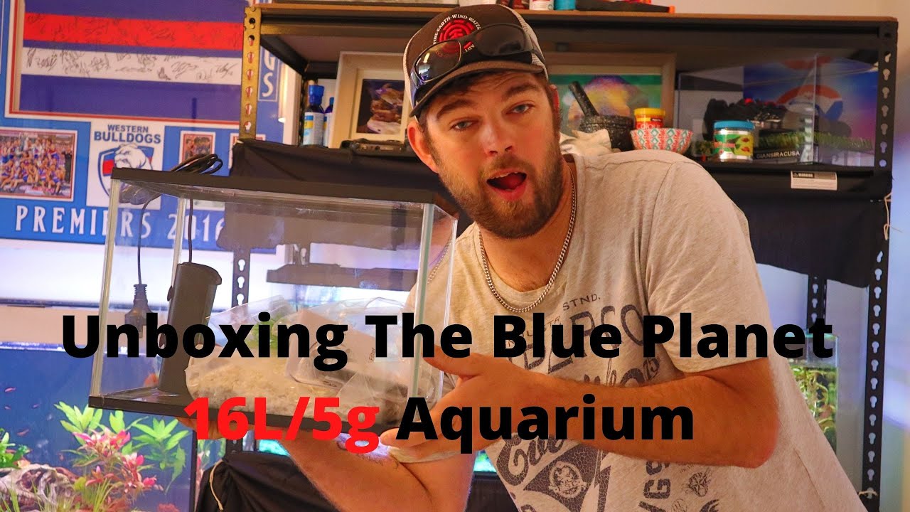 Blue Planet Glass Aquarium 91x38x45 150L - Blue Planet