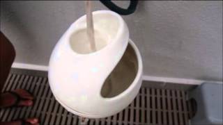 FLOWA: Hydroponic Flowform Pot (test)