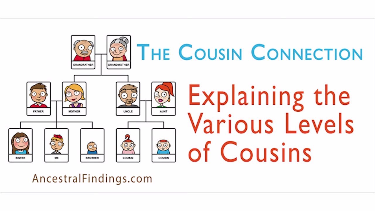 Once mean removed 3rd cousin does what Cousin Chart: