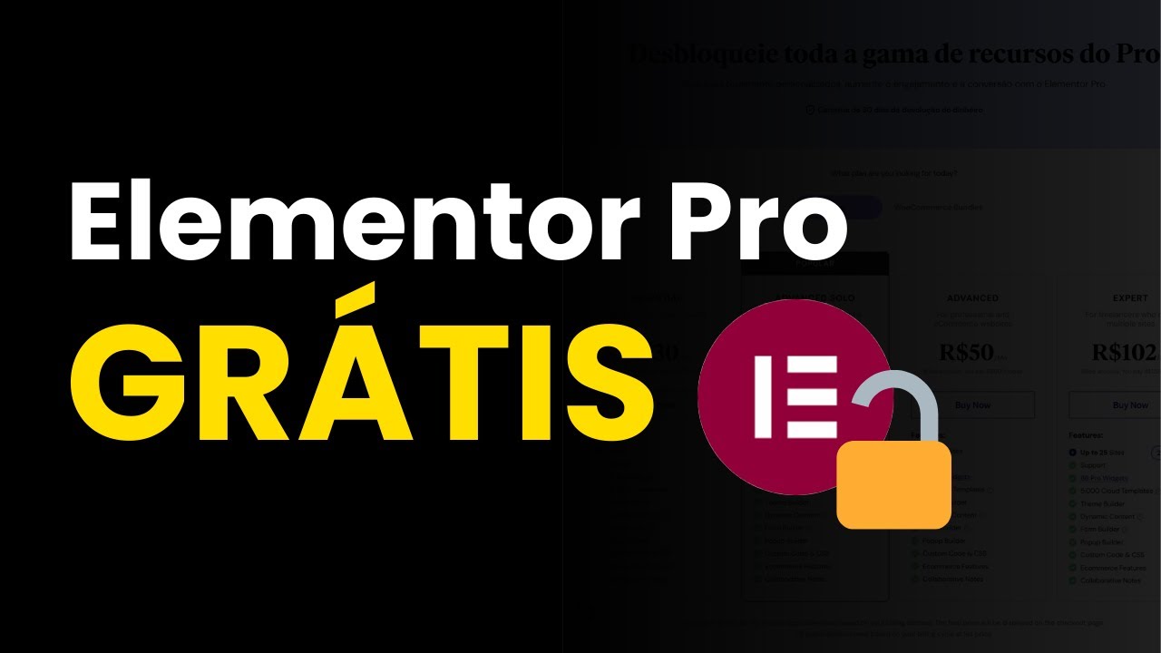 Como ativar recursos do Elementor Pro grátis com Pro Elements (legalmente)