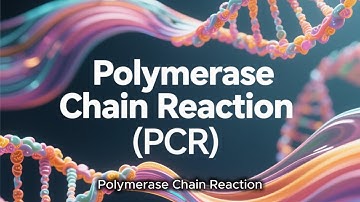 PCR Explained Simply: How DNA Copying Powers Precision Medicine