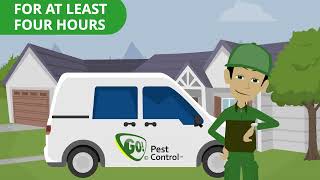 Bed Bug Treatment Preparation – What to Do Before Your Appointment | GO! Pest Control